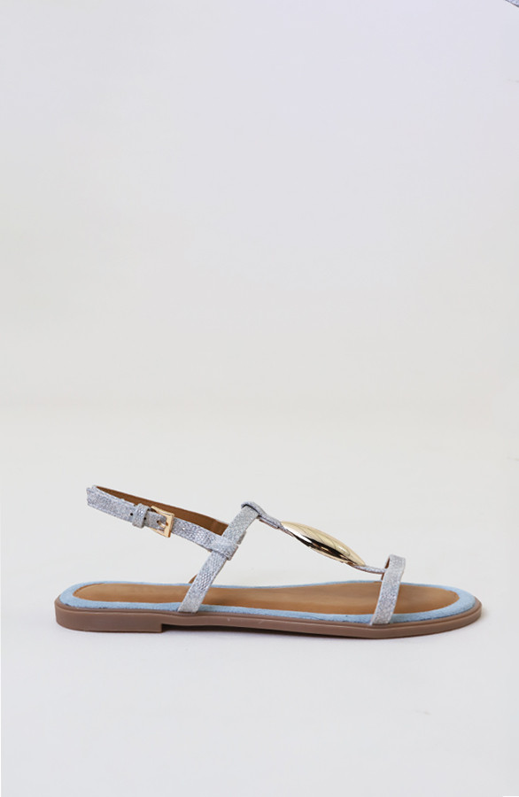 Luxury-Flat-T-Strap-Sandals-Blue-1
